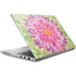 Ginseng Flower HP ZBook Fury 16 G10 Skin