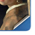 Johannes Vermeer Girl with a Pearl Earring Moto G Play 4G (2024) Skin