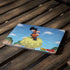 Dragon Ball Z Goku and Nimbus Apple MacBook Air Skin