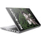 Dragon Ball Z Goku and Shenron HP ZBook Fury 16 G10 Skin