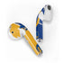 NBA Golden State Warriors Canvas Apple AirPods 2 Skin
