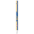 NBA Golden State Warriors Canvas Apple Pencil (1st Gen, 2017) Skin