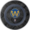 NBA Golden State Warriors Dark Rust Wireless Charger Skin