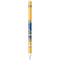 NBA Golden State Warriors Distressed Apple Pencil (1st Gen, 2017) Skin