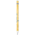 NBA Golden State Warriors Hardwood Classics Apple Pencil (1st Gen, 2017) Skin