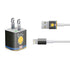 NBA Golden State Warriors Retro Palms iPhone Charger (5W USB) Skin