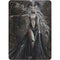 Gothic Princess with Silver Dragon by Nene Thomas Apple iPad Air Skin