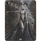 Gothic Princess with Silver Dragon by Nene Thomas iPad Pro 13in M4 (2024) Skin