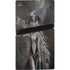 Gothic Princess with Silver Dragon by Nene Thomas PS5 Pro Bundle Skin