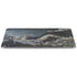 Gothic Queen with Silver Dragon by Nene Thomas Apple iPad Air Skin