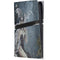 Gothic Queen with Silver Dragon by Nene Thomas PS5 Pro Console Skin