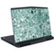Graphite Turquoise Dell Alienware Skin