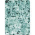 Graphite Turquoise Apple iPad Air Skin