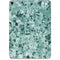 Graphite Turquoise Apple iPad Pro Skin