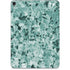 Graphite Turquoise Apple iPad Pro Skin