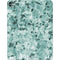 Graphite Turquoise iPad Pro 13in M4 (2024) Skin