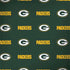 NFL Green Bay Packers Blitz Series Dell Latitude Skin