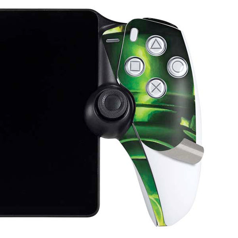 DC Comics Green Lantern Portrait Art By Alex Ross PlayStation Portal Remote Player Skin