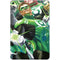 DC Comics Green Lantern Corps Team Art by Alex Ross iPad Skins