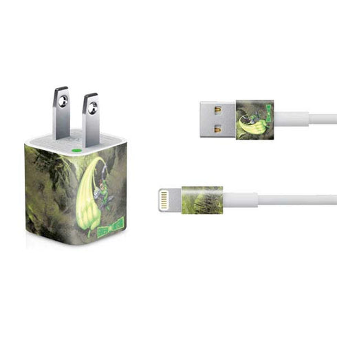 DC Comics Green Lantern Super Punch iPhone Charger (5W USB) Skin
