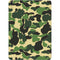 Green Street Camo Apple iPad Air Skin