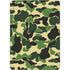 Green Street Camo Apple iPad Air Skin