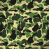 Green Street Camo Dell Latitude Skin