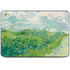 Green Wheat Fields by Vincent van Gogh HP Chromebook Skin