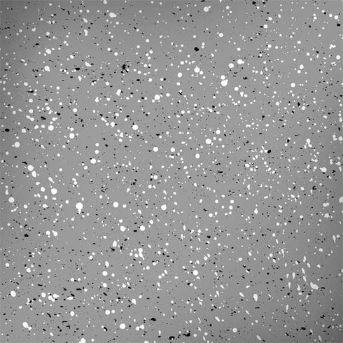 Grey Speckle Dell Latitude Skin