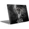 Alchemy Grimalkins Glass Apple MacBook Air Skin