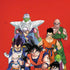 Dragon Ball Z Group iPhone X Pro Case