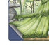 Guardian Fairy and Stag by Amy Brown Galaxy Z Fold6 Skin
