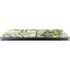 Guardian Fairy and Stag by Amy Brown Apple MacBook Pro 14-inch Skin