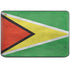 Guyana Flag Distressed HP Chromebook Skin