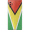 Guyana Flag Distressed Galaxy Note 10 Plus Skin