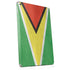 Guyana Flag Distressed Apple iPad Skin