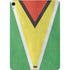 Guyana Flag Distressed Apple iPad Air Skin