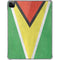 Guyana Flag Distressed iPad Pro 11in (2024) Clear Case