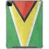 Guyana Flag Distressed iPad Cases