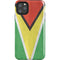 Guyana Flag Distressed iPhone Cases