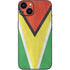 Guyana Flag Distressed iPhone Skins
