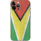 Guyana Flag Distressed iPhone 15 Pro Max Skin