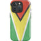 Guyana Flag Distressed iPhone 16 Pro Impact Case