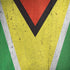 Guyana Flag Distressed Moto G6 Skin