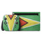 Guyana Flag Distressed Nintendo Switch 2 (2025) with Joy-Con Skin