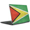 Guyana Flag Distressed Notebook 9 Pro 13in (2017) Skin