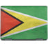 Guyana Flag Distressed Notebook 9 Pro 13in (2017) Skin