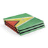 Guyana Flag Distressed PlayStation PS4 Skins