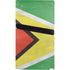 Guyana Flag Distressed PS5 Pro Bundle Skin