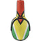 Guyana Flag Distressed Skullcandy Venue Skin